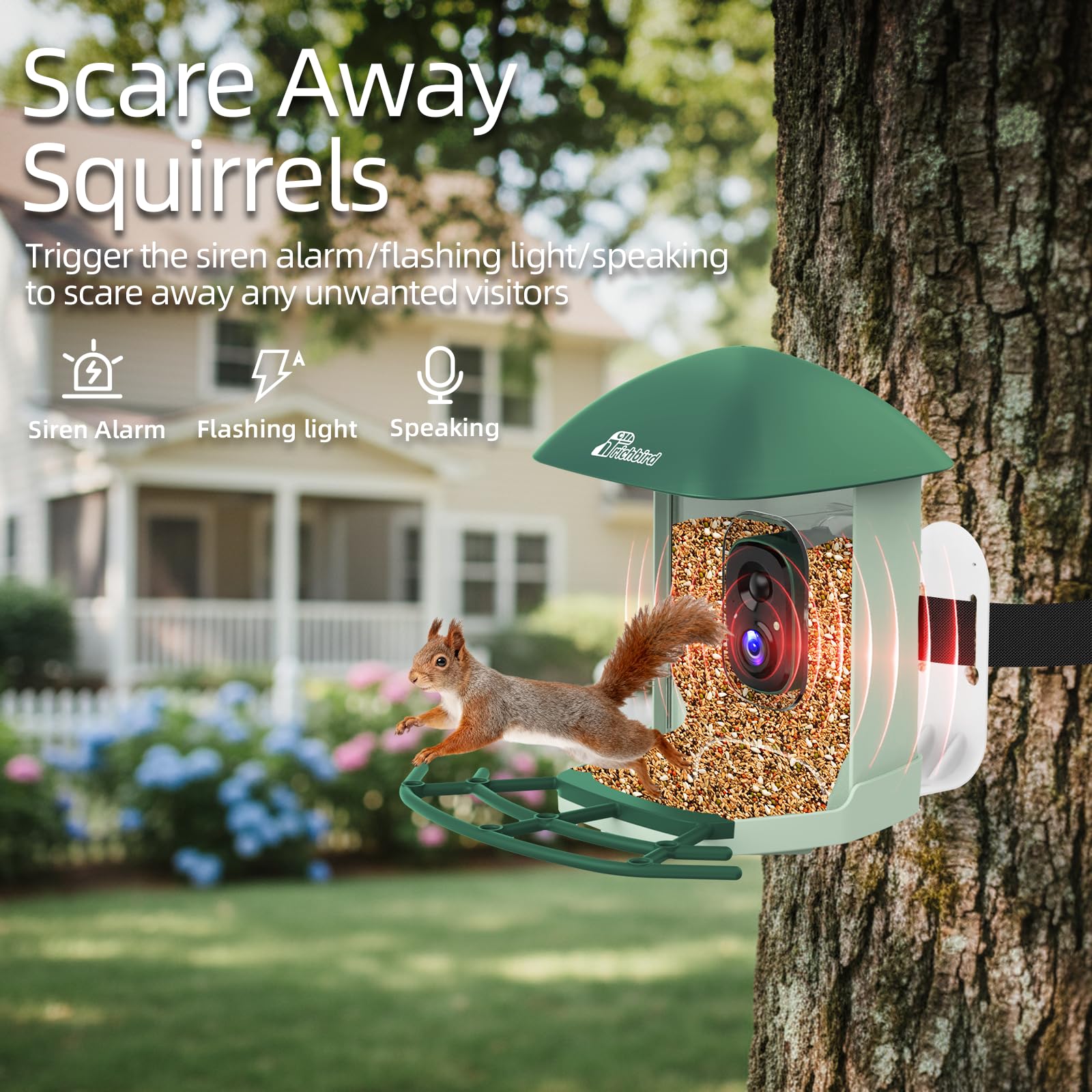 RichBird Smart Bird Feeder mounted on a tree