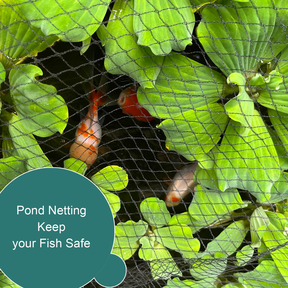 RIFNY Bird Netting protecting blueberry bushes