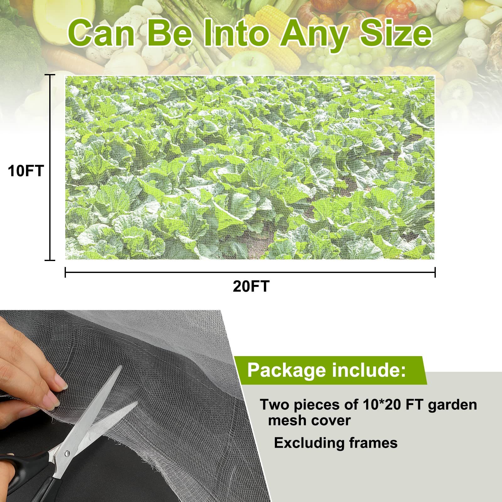 RIFNY Garden Netting used to protect tomato plants