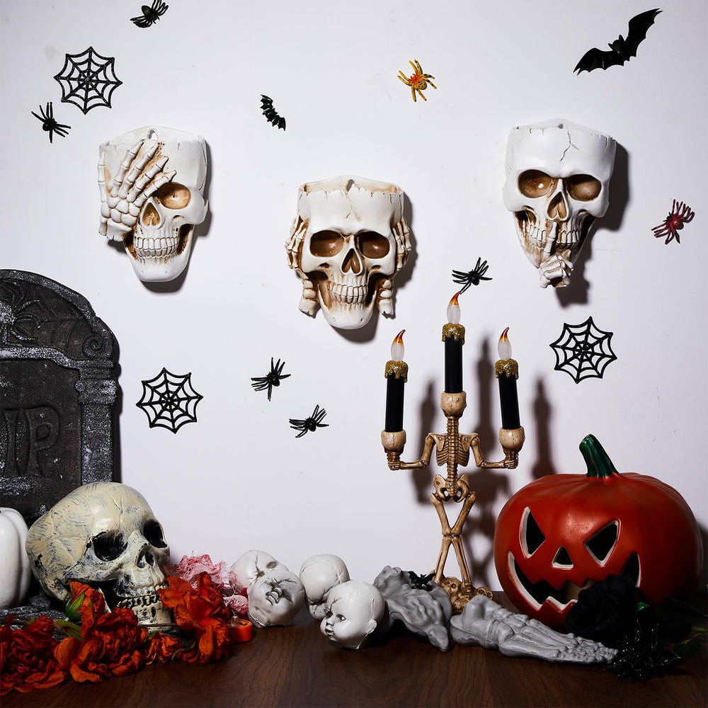 RimCereal Skull Planter set displayed with plants