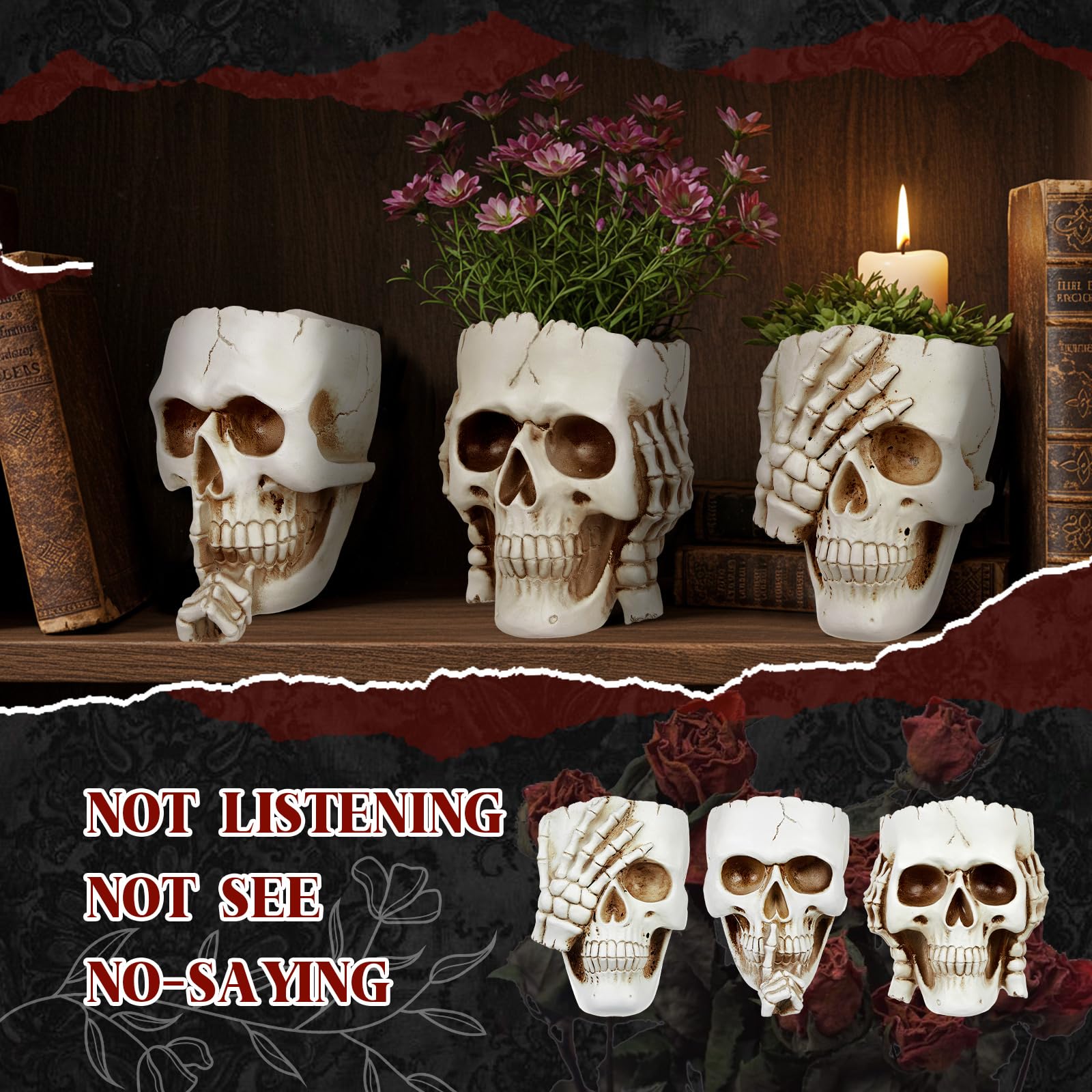 RimCereal Skull Planter set packaging view