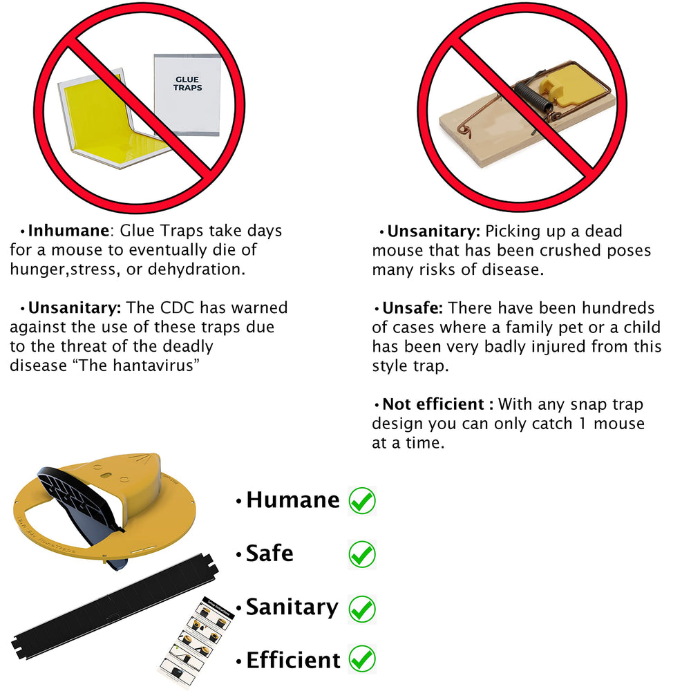 RinneTraps Flip N Slide Mouse Trap in garden setting