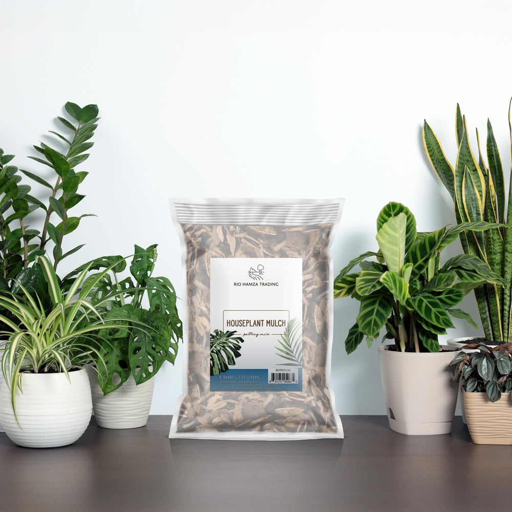 Rio Hamza Trading houseplant mulch as a soil covering in pots
