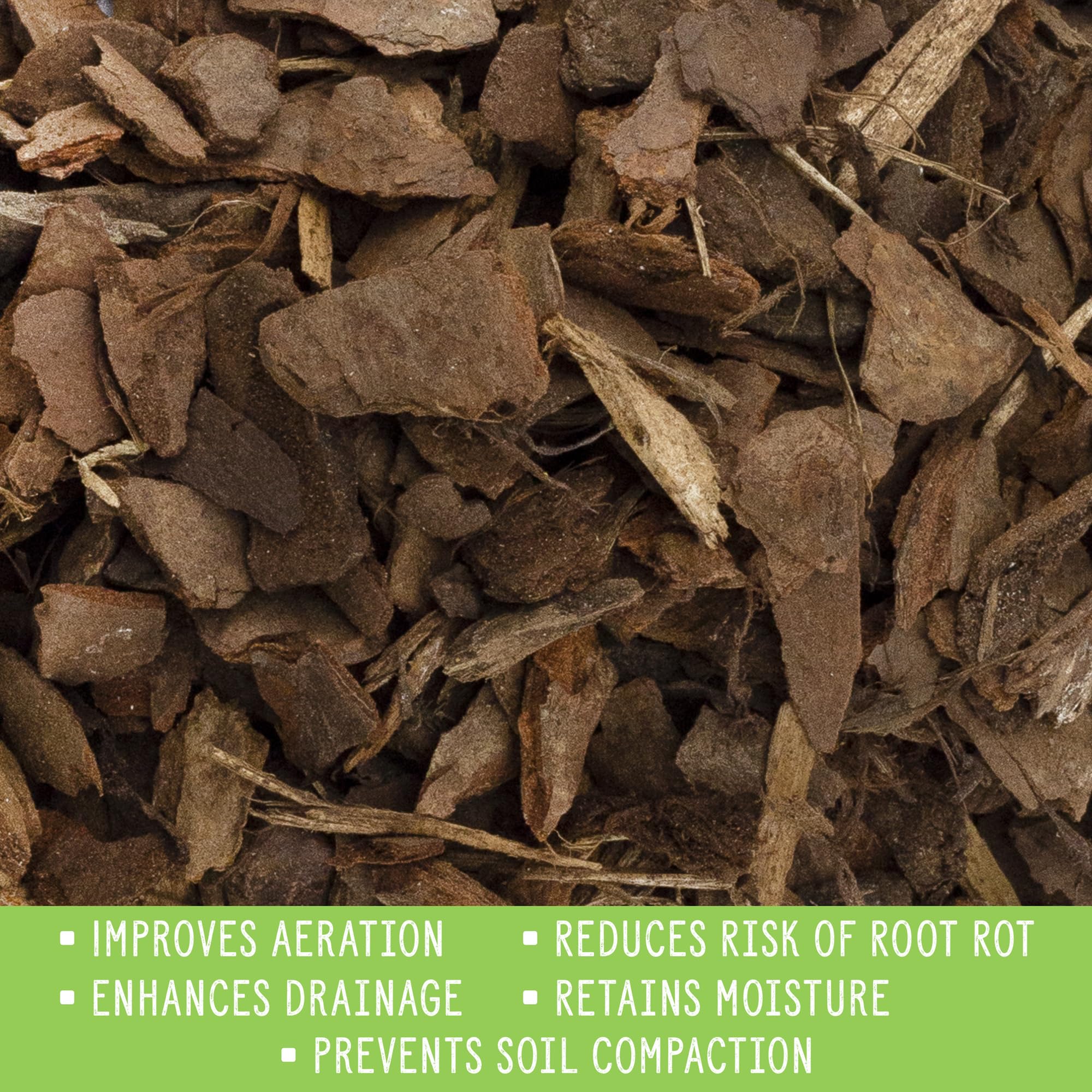 Rio Hamza Trading houseplant mulch spread over indoor plant soil