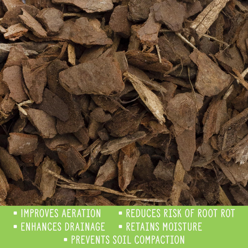 Rio Hamza Trading houseplant mulch spread over indoor plant soil