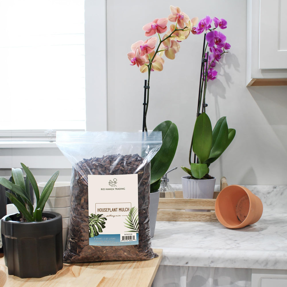 Rio Hamza Trading houseplant mulch used in various potted plants