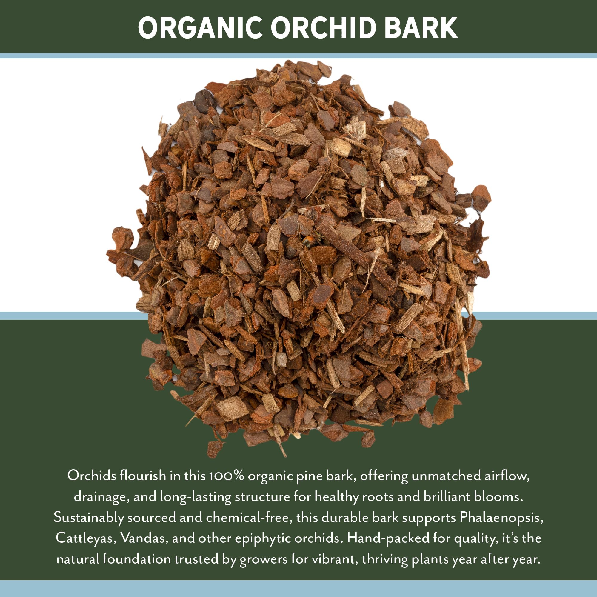 Rio Hamza Trading Orchid Bark 8 Quarts in natural setting