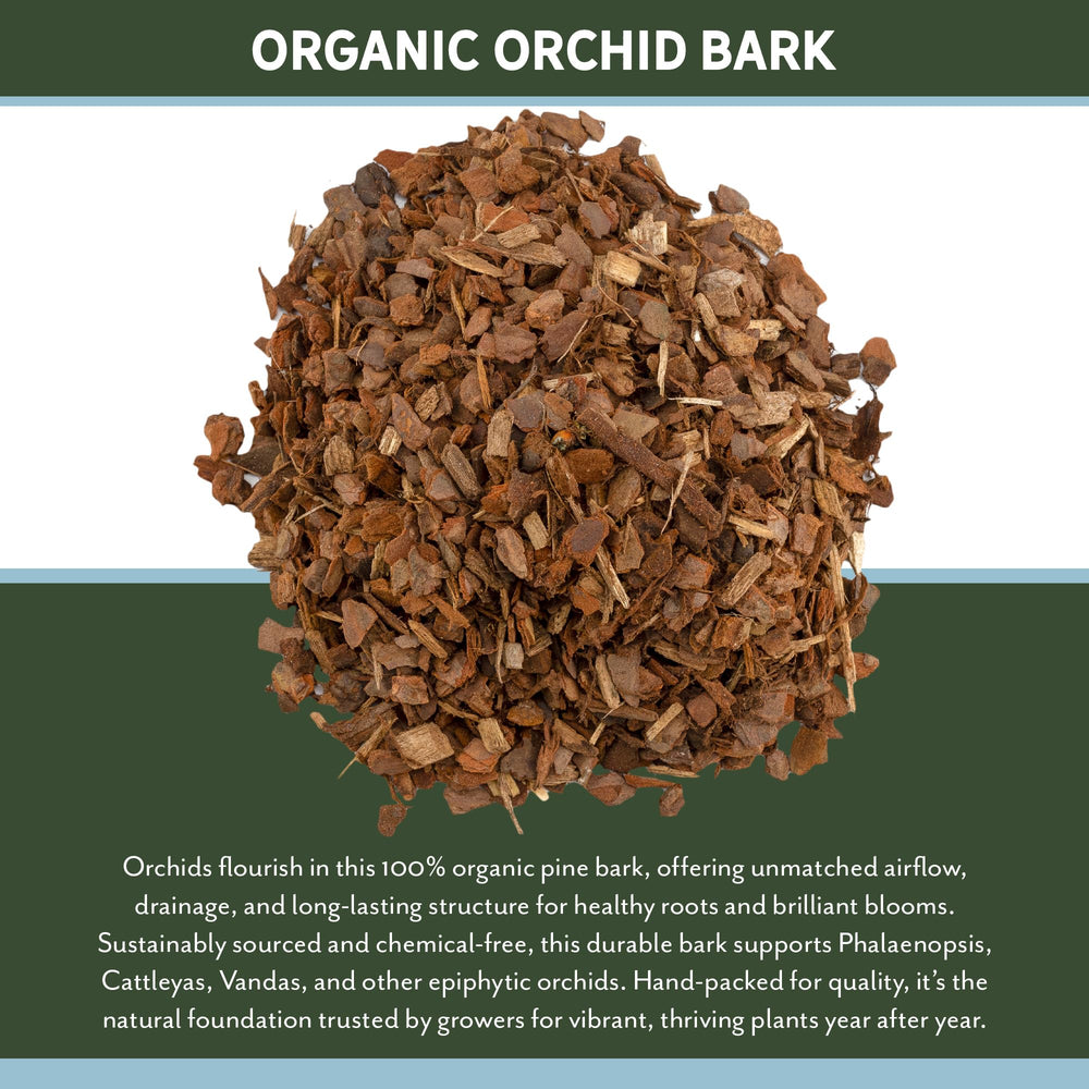 Rio Hamza Trading Orchid Bark 8 Quarts in natural setting