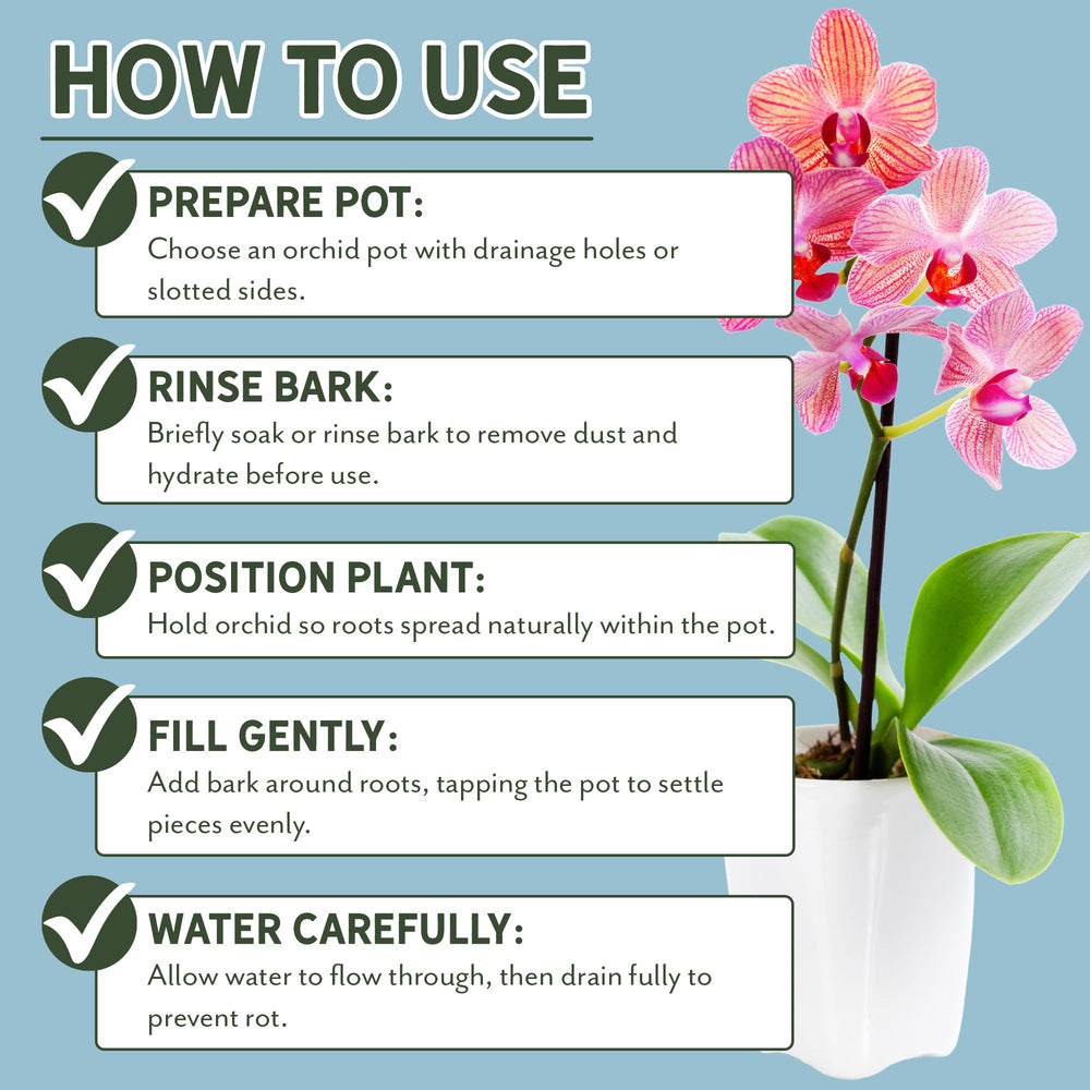 Rio Hamza Trading Orchid Bark beside various orchids