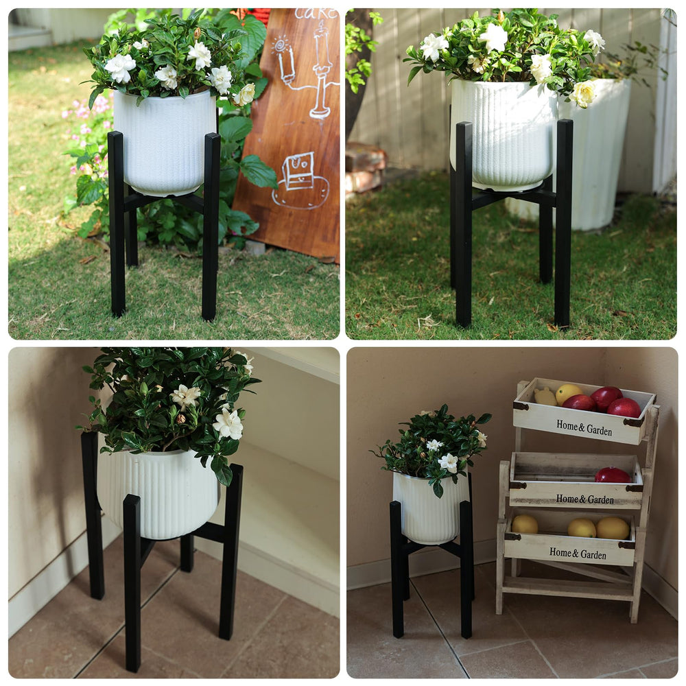 Rioneta Adjustable Plant Stand supporting a green fiddle leaf fig