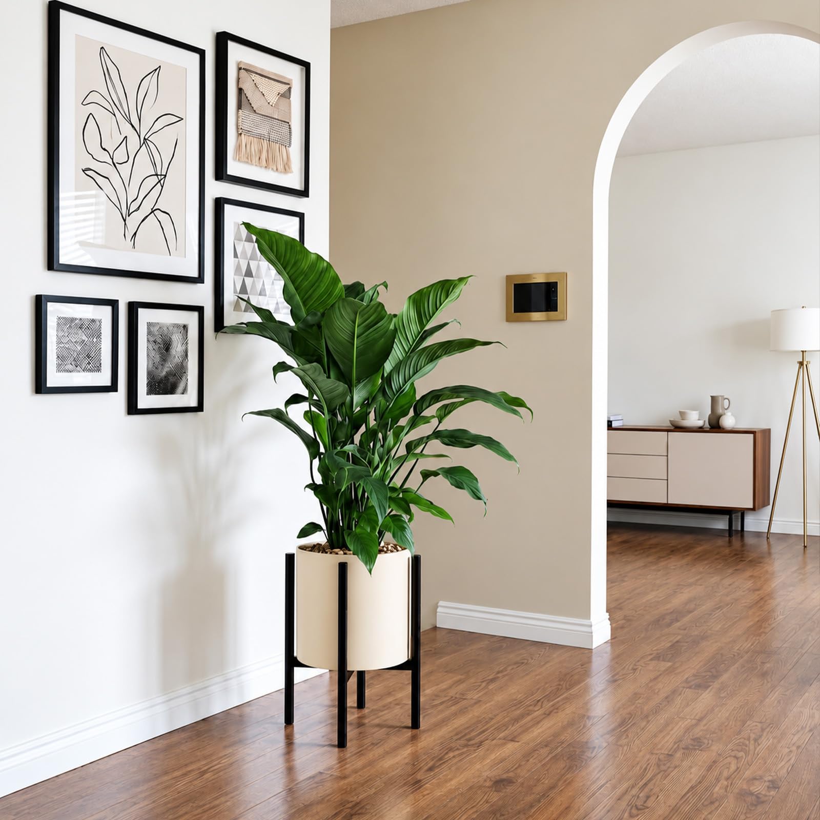 Rioneta plant stand with black finish and clean lines