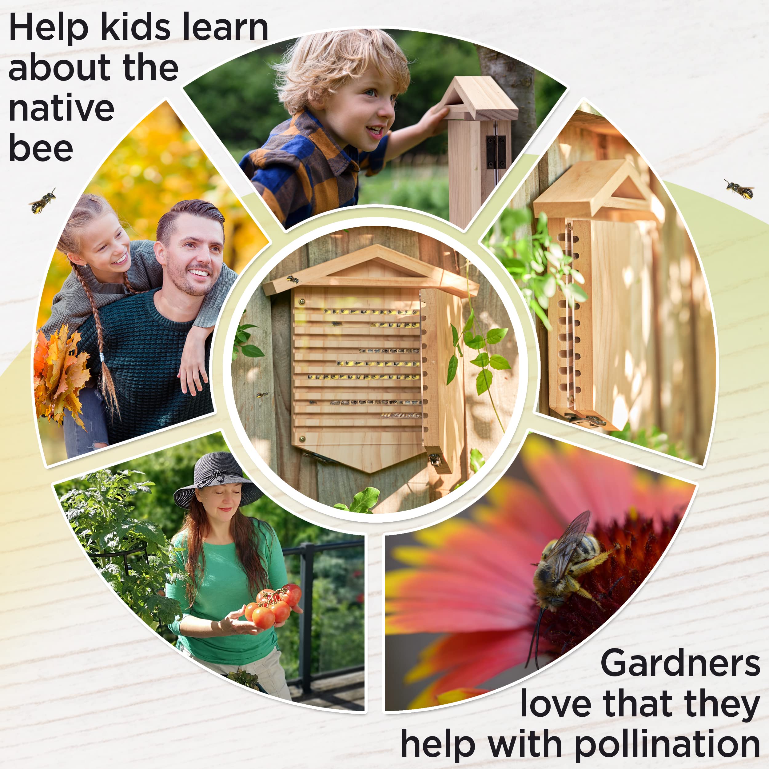 Rivajam bee house beautifully boxed for gifting