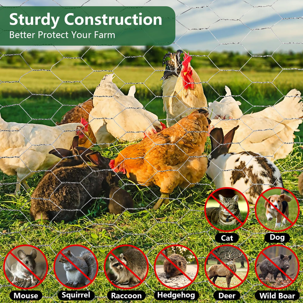 ROADPLUM Chicken Wire Mesh protecting vegetables in garden