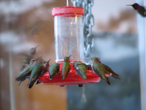 Rocky Mountain Goods Hummingbird Feeder side view showing capacity