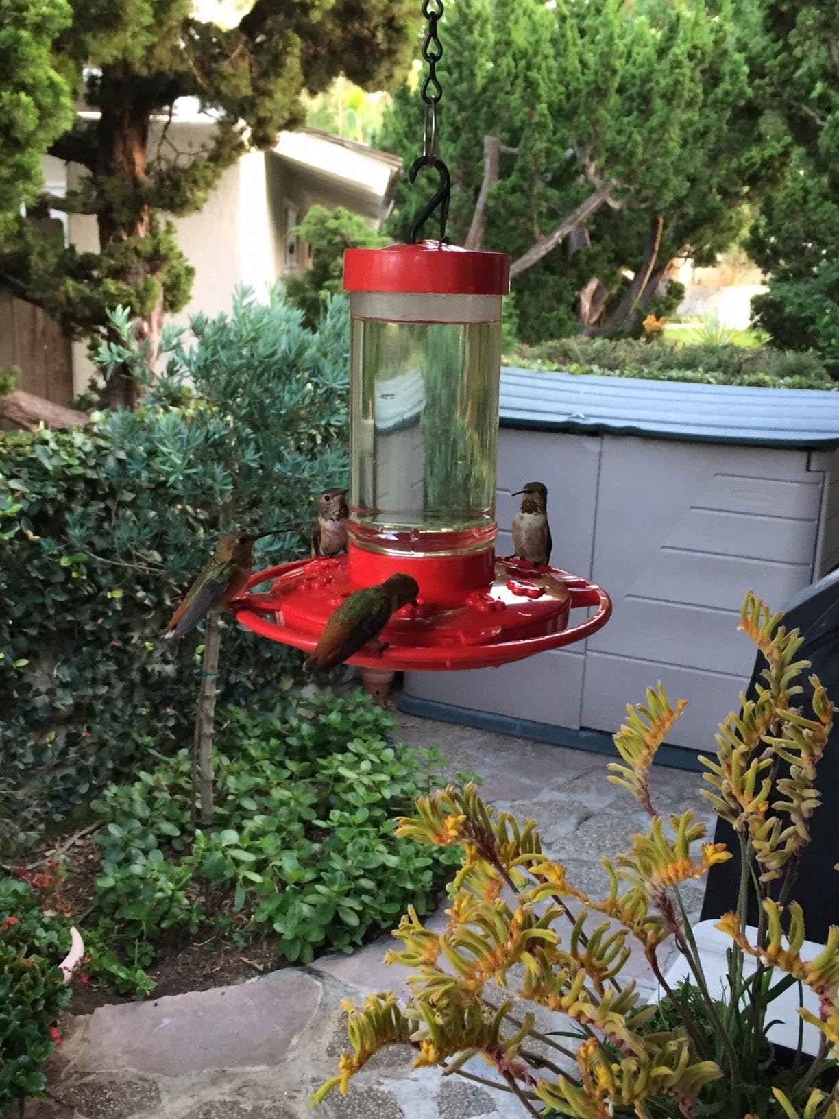 Rocky Mountain Goods Hummingbird Feeder with nectar inside