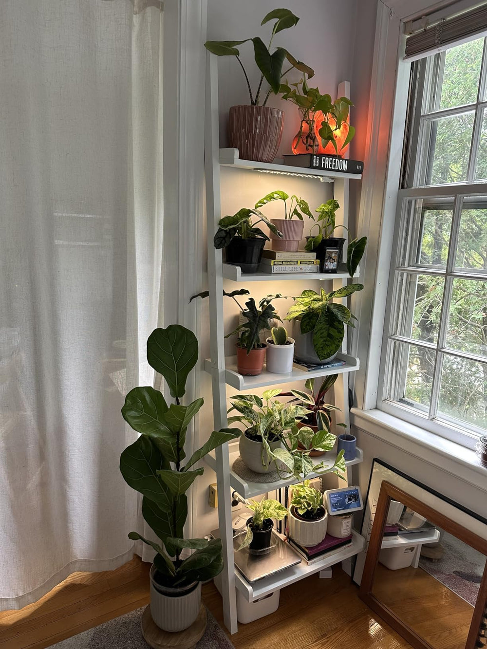 Rocoking grow light set with power adapter and accessories