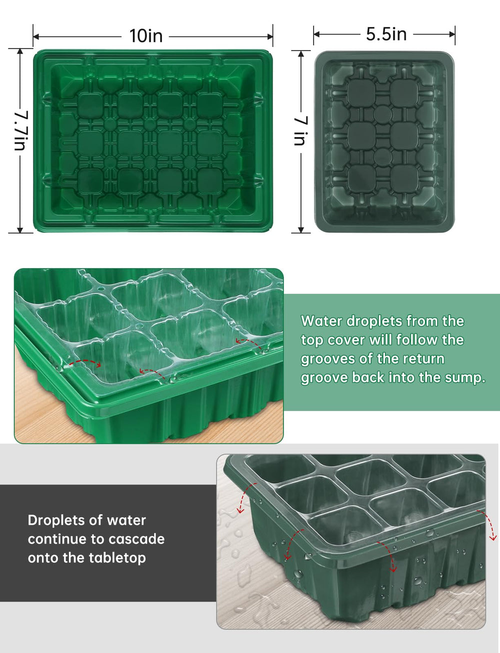 RODINTO Seed Starter Tray in use with seedlings planted