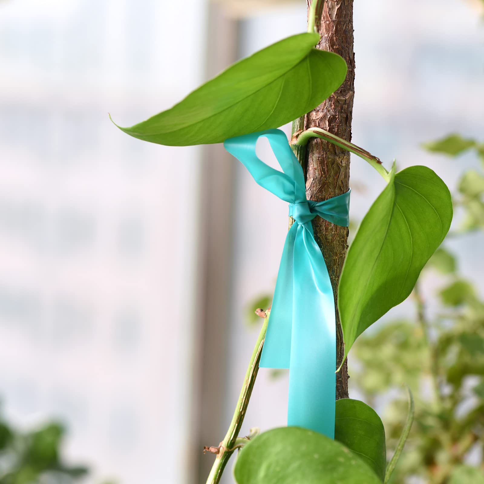Roll of green stretch tie tape from TELENT OUTDOORS