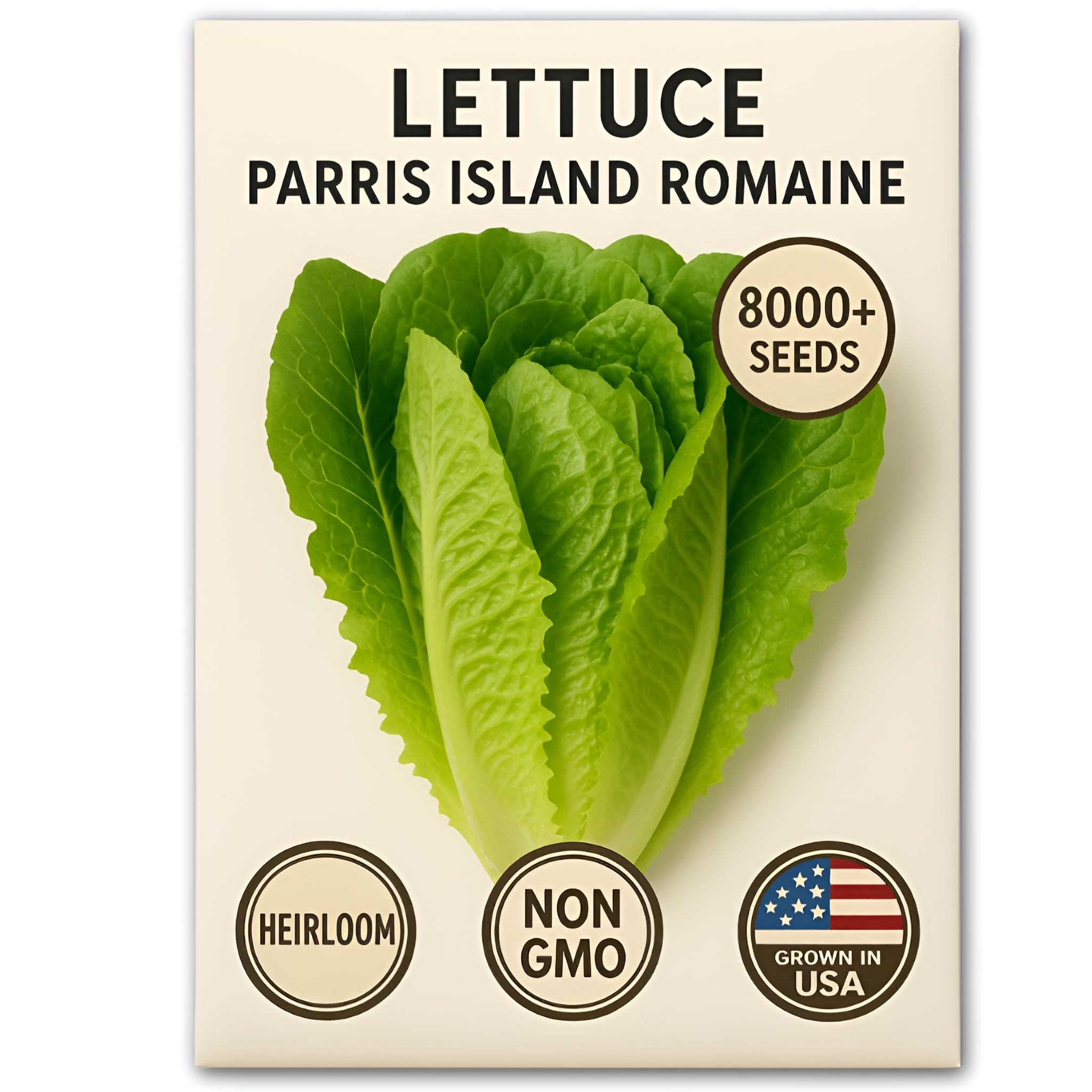 Romaine lettuce growing in a backyard garden