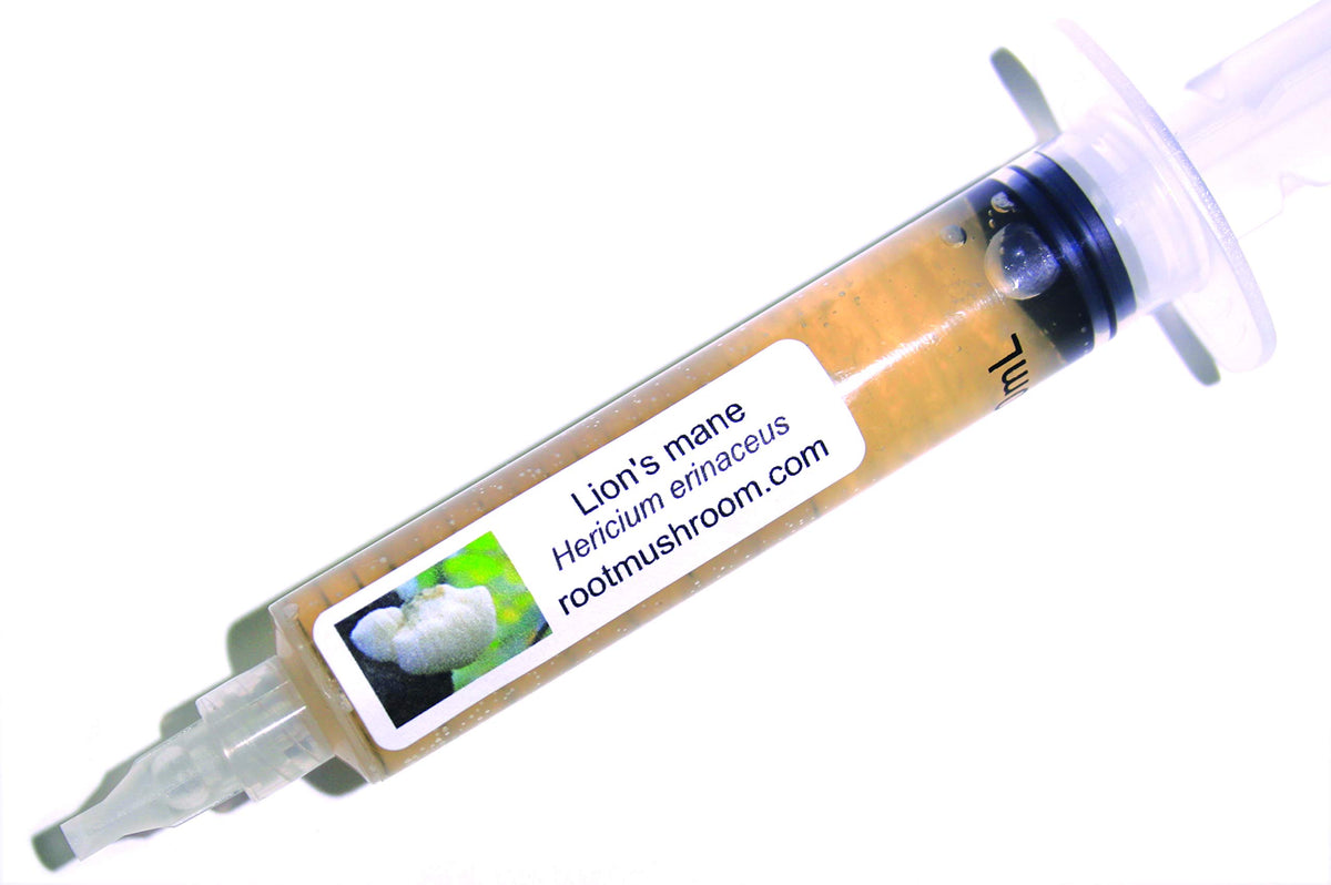 Root Mushroom Farm Lion's Mane Liquid Culture 10cc front view