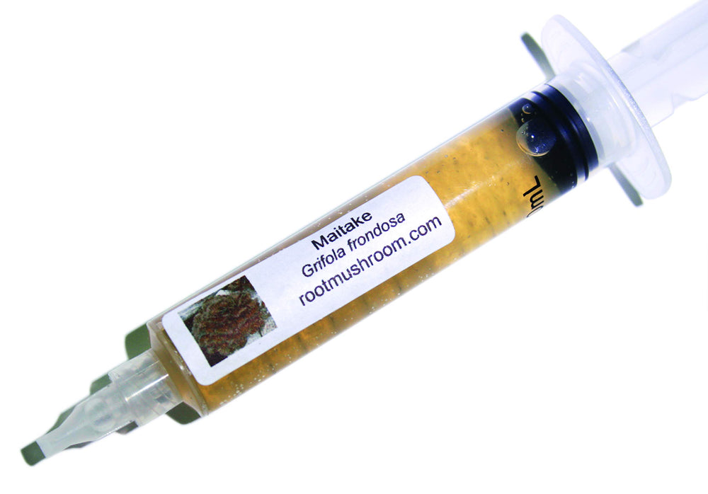 Root Mushroom Farm Maitake Liquid Culture 10cc front view