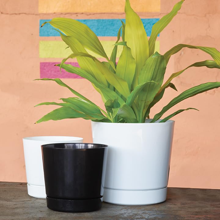 Root & Vessel 12-Inch Full Depth Cylinder Pot packaging