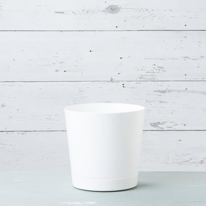 Root & Vessel 12-Inch Full Depth Cylinder Pot side view