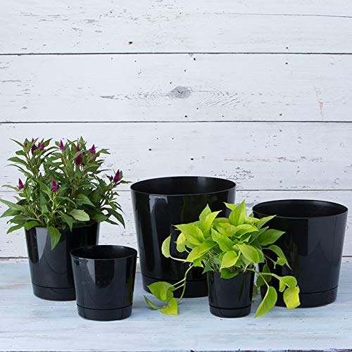 Root & Vessel 6-Inch planter in a garden setting