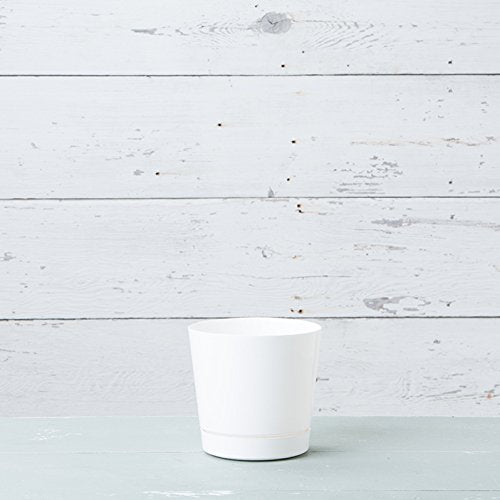 Root & Vessel 8-Inch planter with vibrant plants inside
