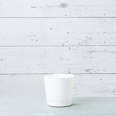Root & Vessel 8-Inch planter with vibrant plants inside