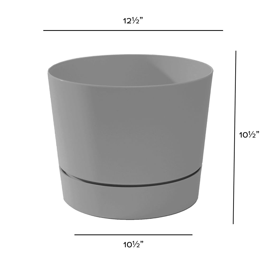 Root & Vessel Majestic Low Profile Cylinder Pot packaging