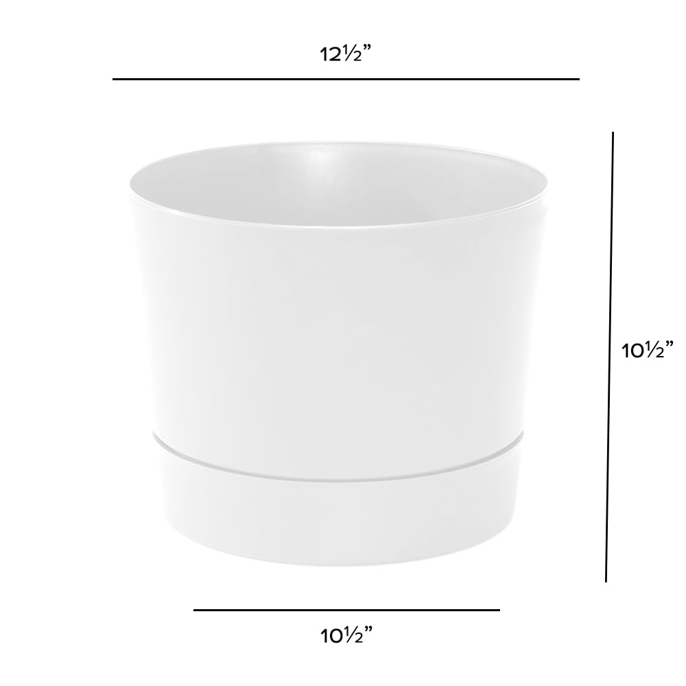 Root & Vessel Majestic pot showcasing clean matte finish