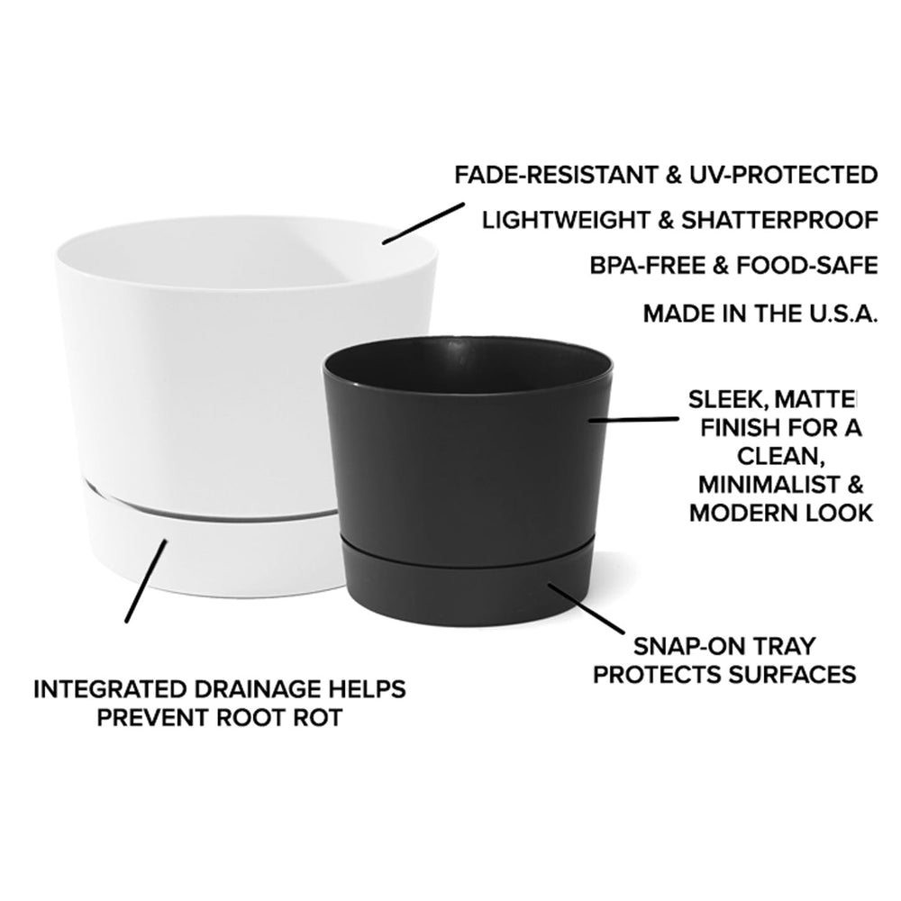 Root & Vessel Majestic pot with close-up of matte finish