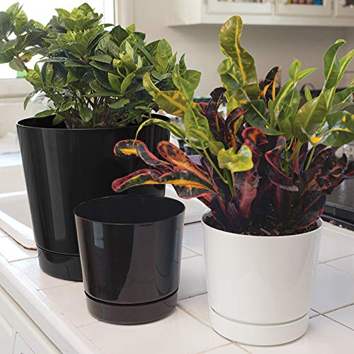 Root & Vessel planter set on a garden table