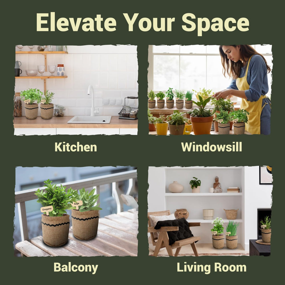 ROOTCRAFT herb garden kit packaging display