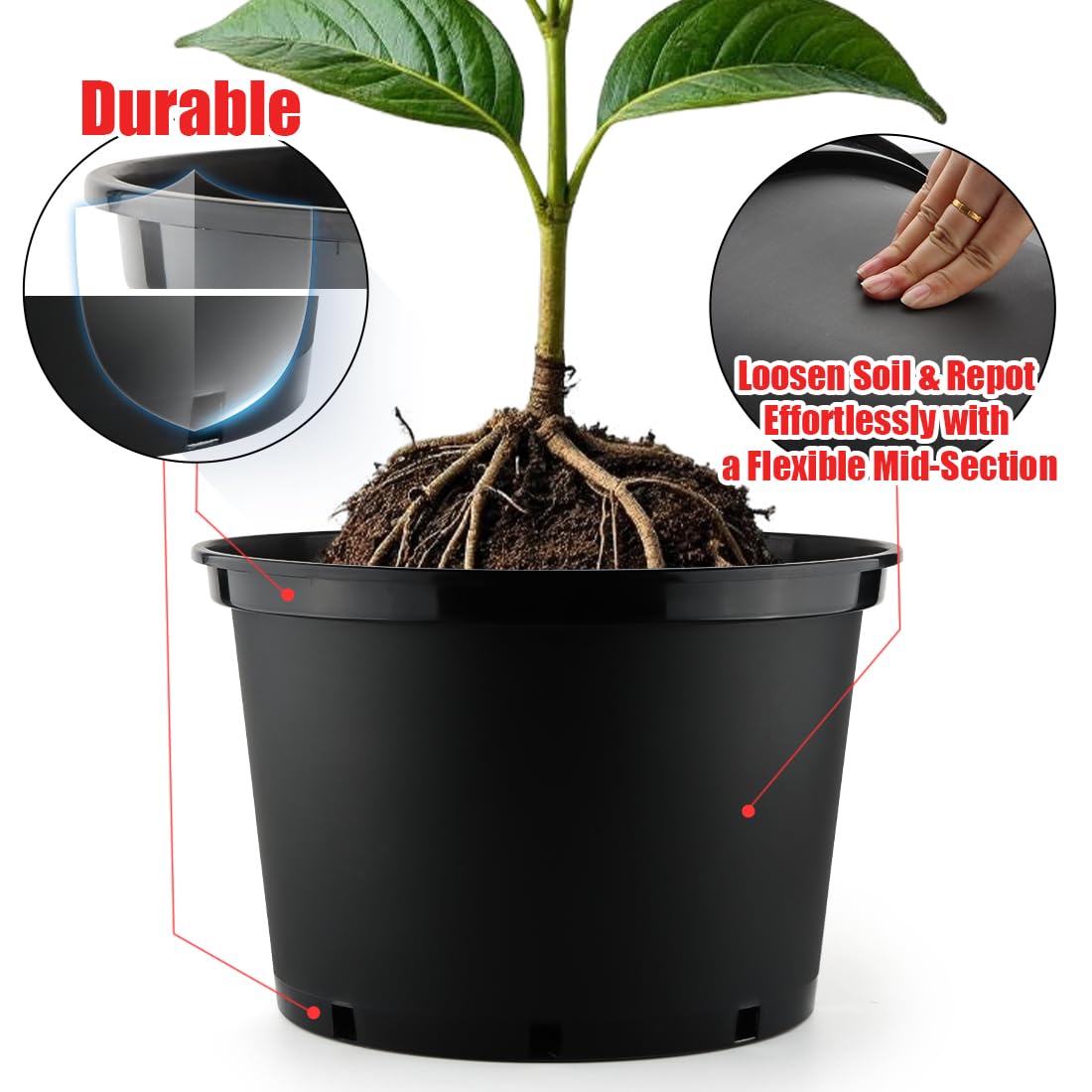 RooTrimmer 10 Gallon Plastic Nursery Pot filled with soil and plants