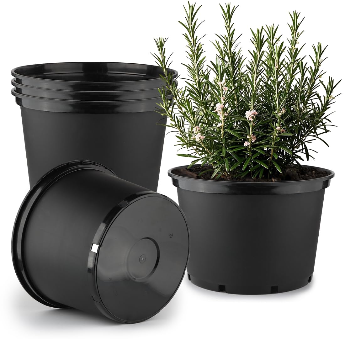 RooTrimmer 10 Gallon Plastic Nursery Pot front view in black