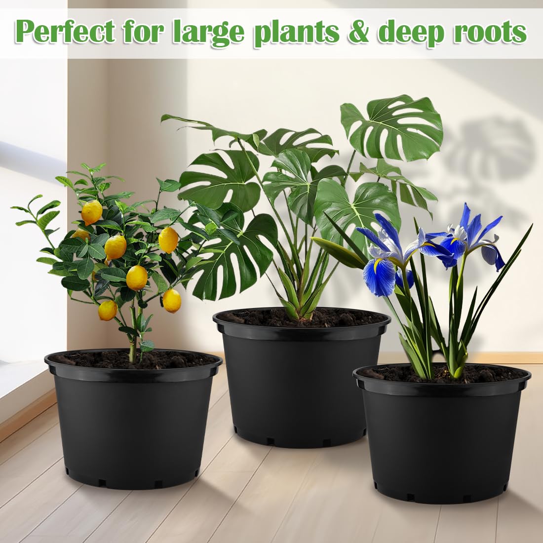 RooTrimmer 10 Gallon Plastic Nursery Pots displayed in a garden setting