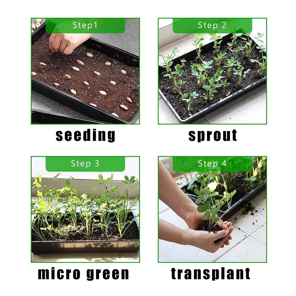 RooTrimmer 10 Pack 1020 Trays filled with soil and seeds