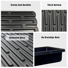 RooTrimmer 10 Pack 1020 Trays in greenhouse with seedlings