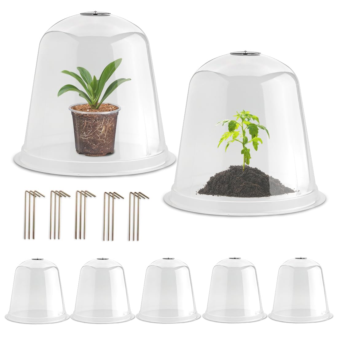 RooTrimmer 13 Inch Humidity Dome Garden Cloches clear design front view