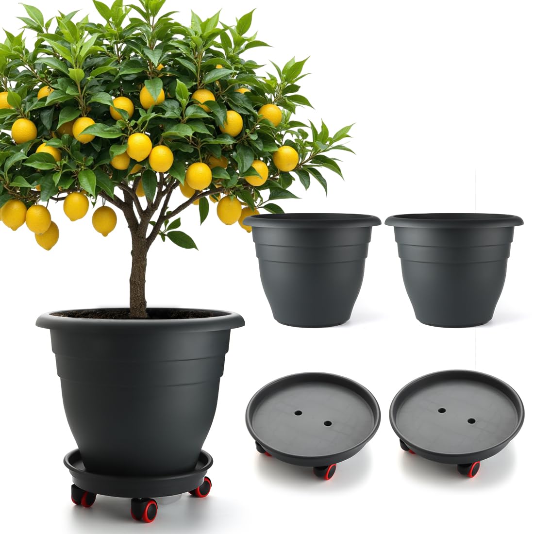 RooTrimmer 16 inch rolling large plant pot front view with black finish