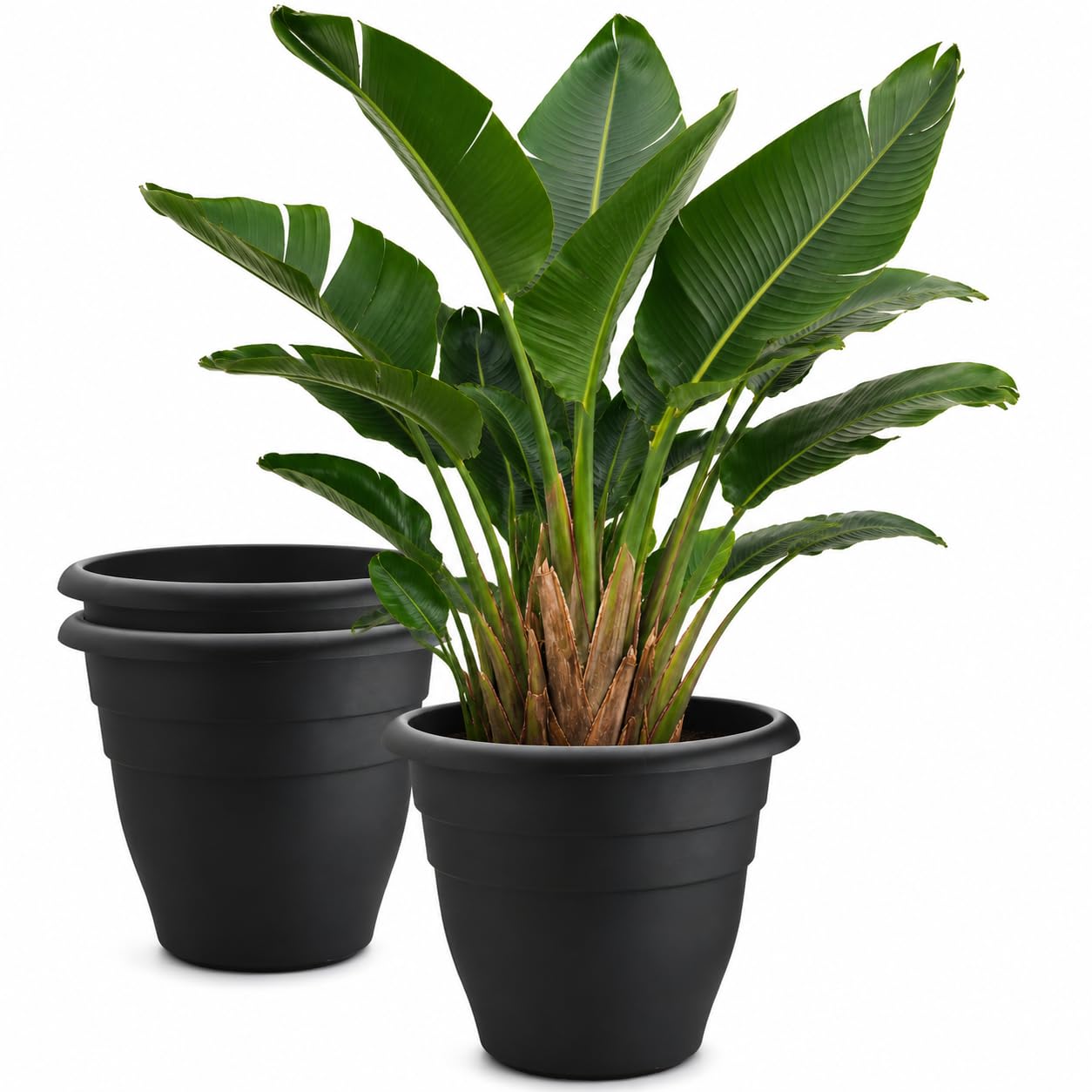 RooTrimmer 20 Inch Large Plant Pot front view, black textured finish