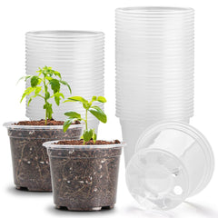RooTrimmer 3.2 inches clear seedling pot front view