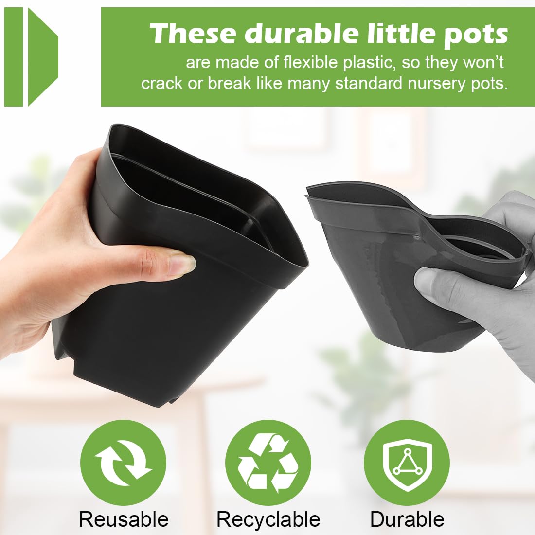 RooTrimmer 4 Inch Square Nursery Pot with seedlings