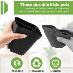 RooTrimmer 4 Inch Square Nursery Pot with seedlings