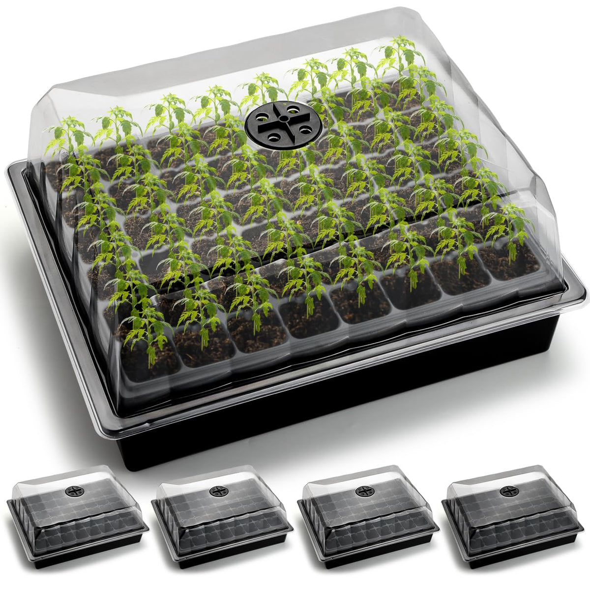 RooTrimmer 5-pack seed starting trays with humidity dome front view