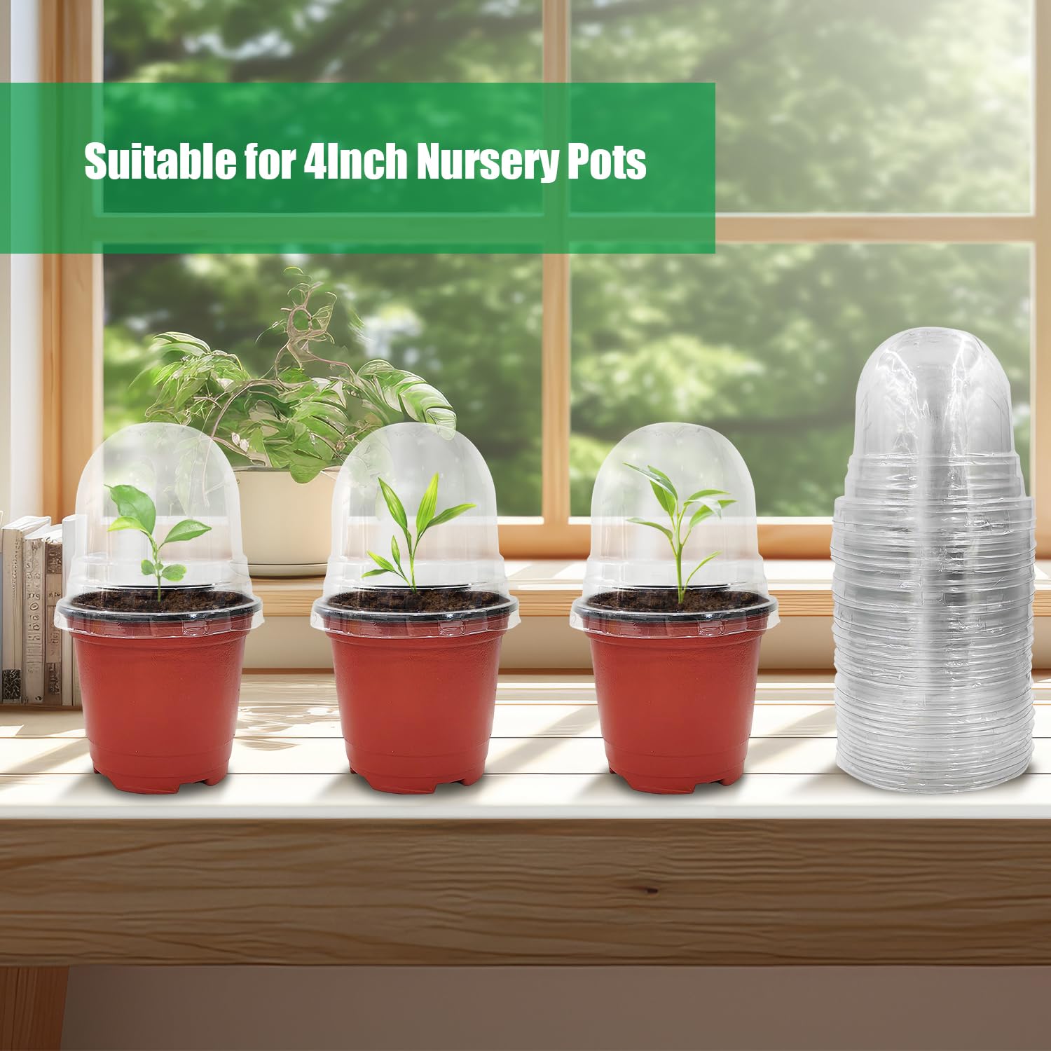 RooTrimmer 50 Pack humidity domes in packaging