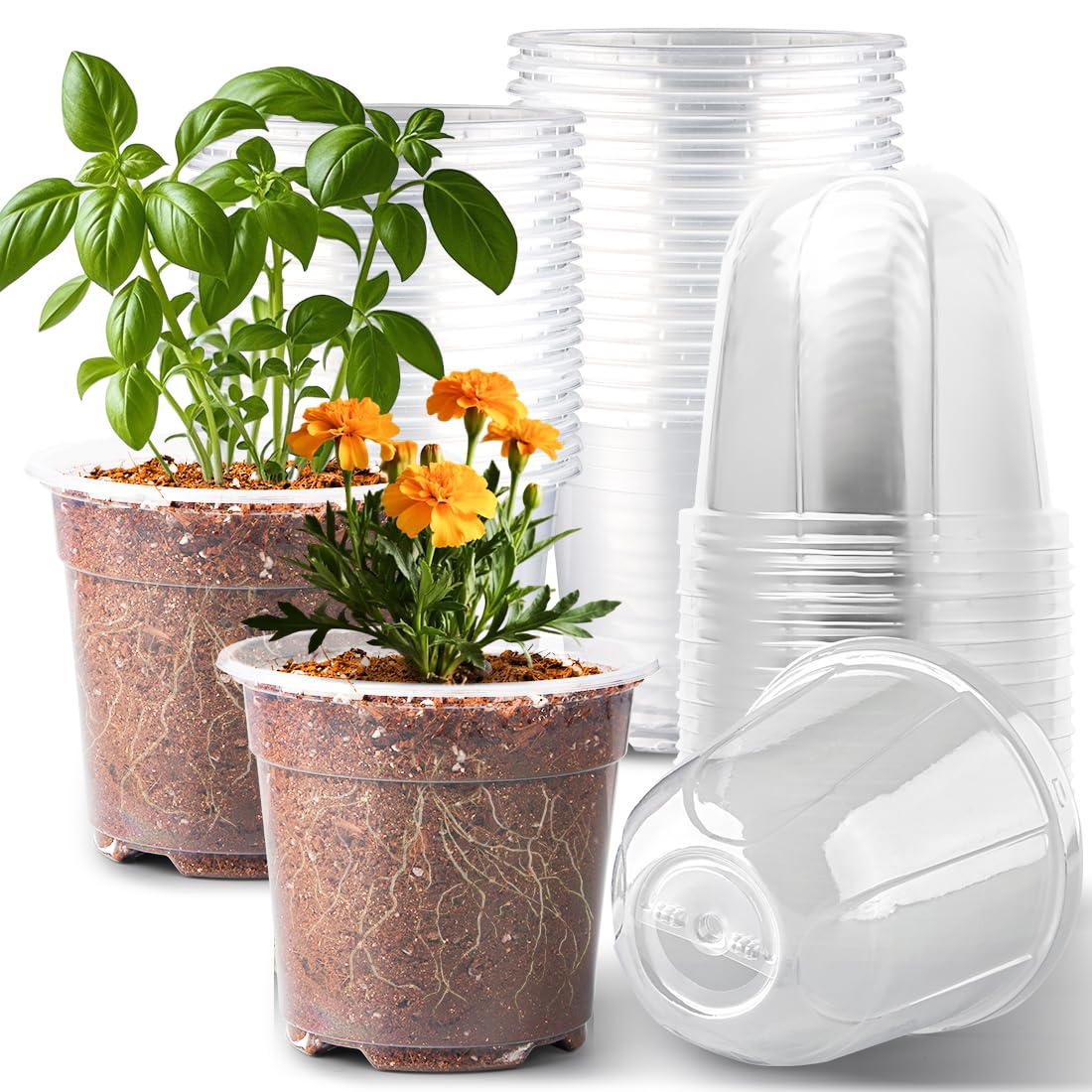 RooTrimmer 6 Inch Clear Nursery Pot with Humidity Dome, front view