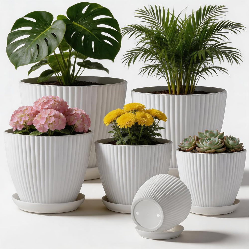 RooTrimmer 6 pack of multi size plastic plant pots in white